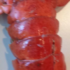 Meet your Posher, Wesley